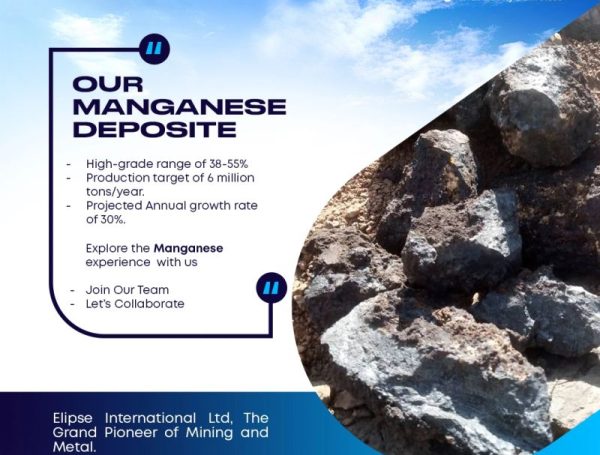 Nigerian Coy Elipse, Growing Local Products, Attracting Foreigners